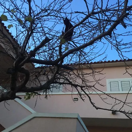 La Maison Di Zia Annina Konukevi