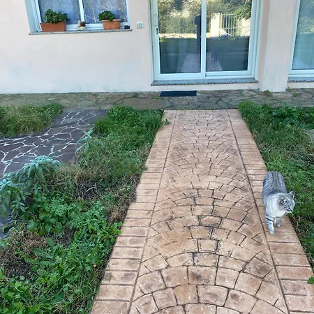 La Maison Di Zia Annina In Sardegna Affittacamere *