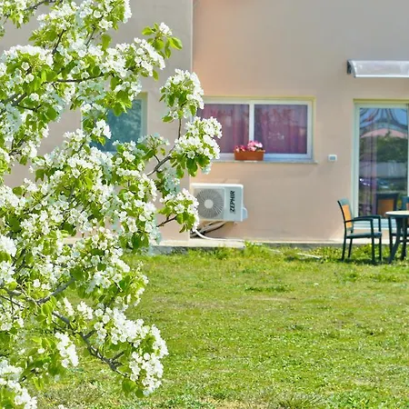 La Maison Di Zia Annina Konukevi