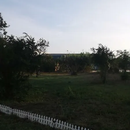 La Maison Di Zia Annina In Sardegna Affittacamere Olbia