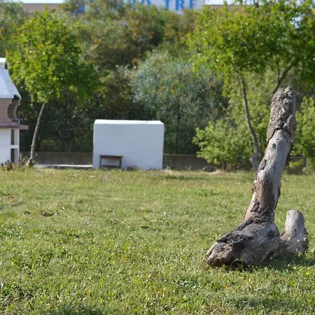 La Maison Di Zia Annina In Sardegna Affittacamere *
