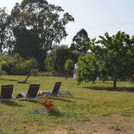 Affittacamere La Maison Di Zia Annina In Sardegna Olbia